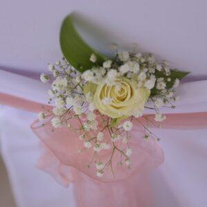 Photography #152498 from T2847