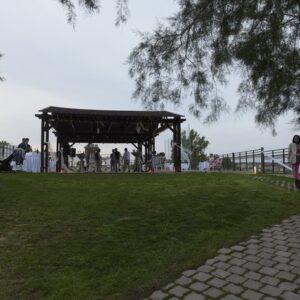 Photography #153252 from T2847