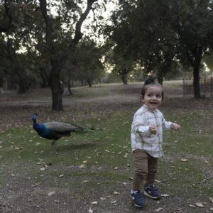 Photography #153741 from Despoina